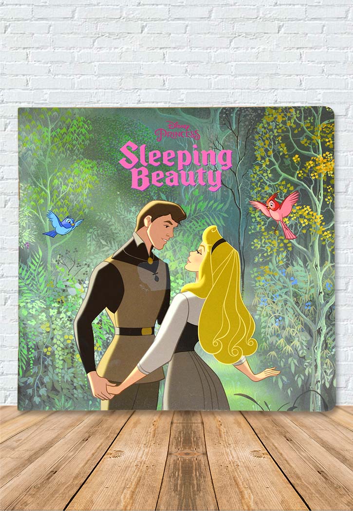Disney Enchanting Stories : Sleeping Beauty
