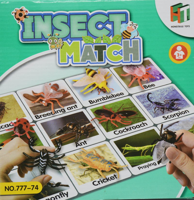 INSECT MATCH GAME