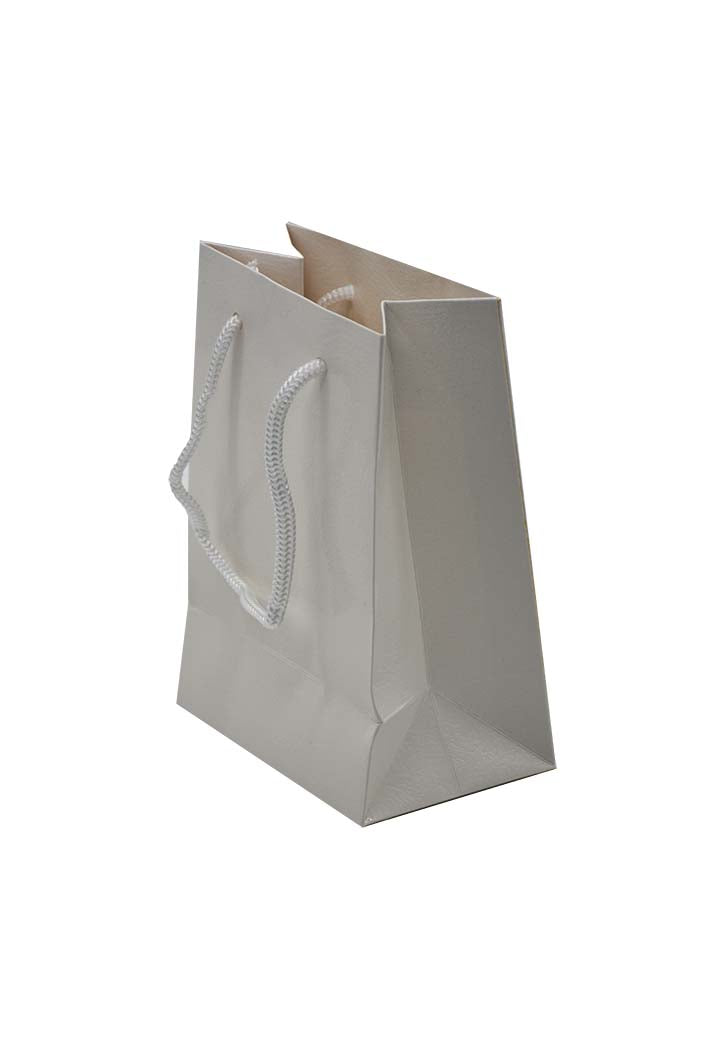 Paper Plain Gift Bag 18x13x8CM