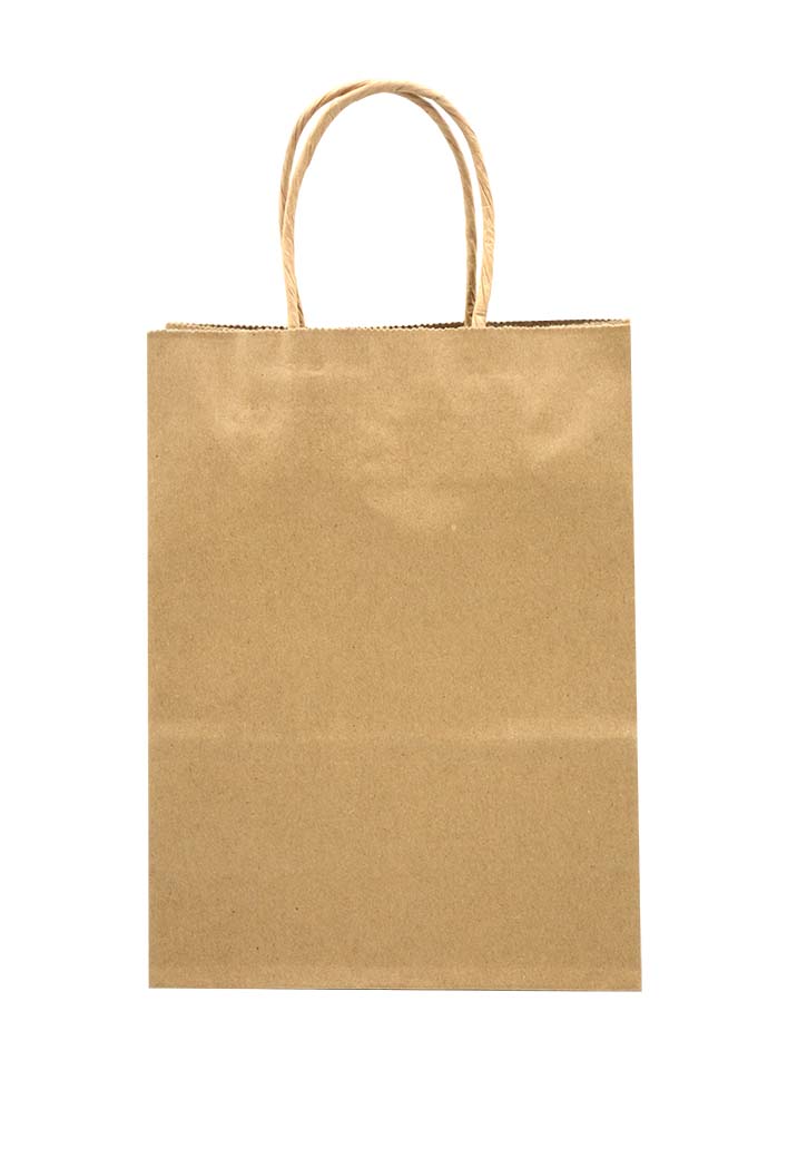 Paper Gift Bag (15x8x21CM)