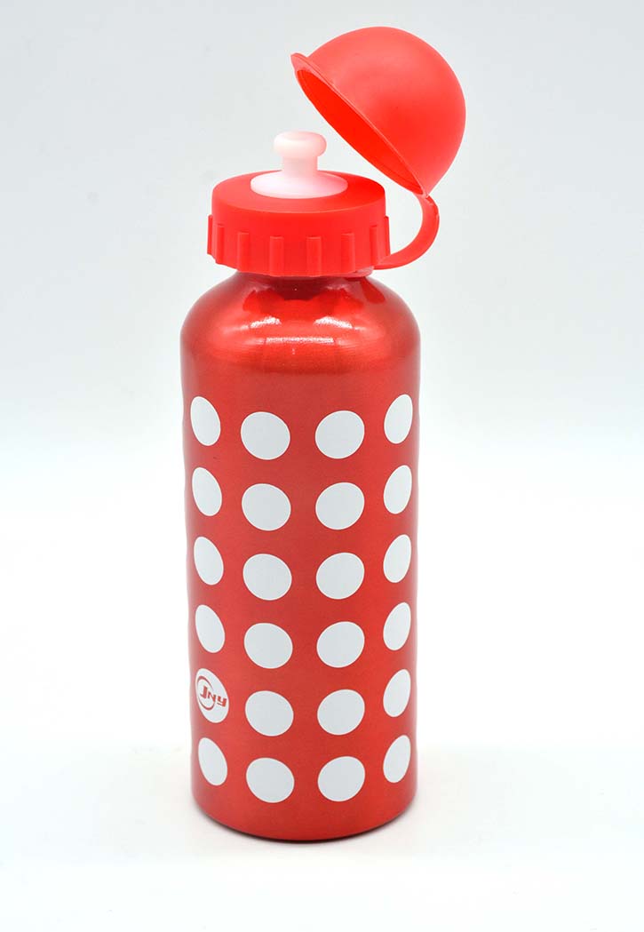 JNY - Aluminium Water Bottle 550ML
