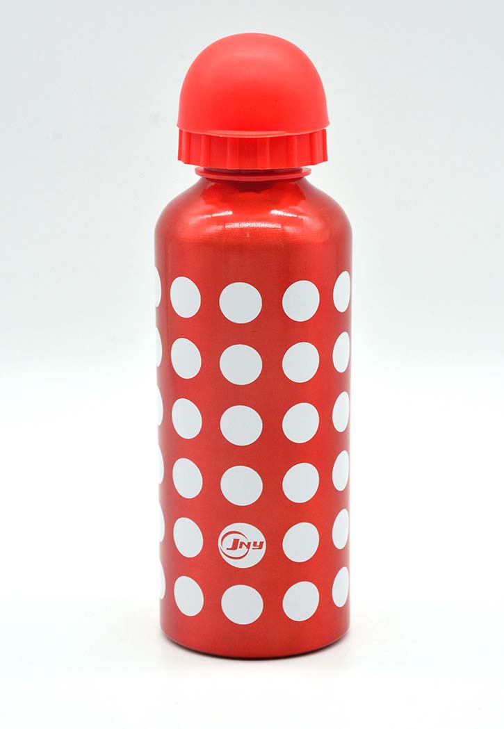 JNY - Aluminium Water Bottle 550ML