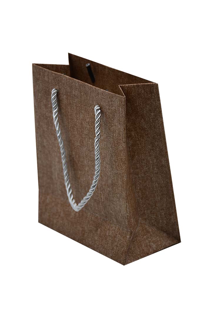 Paper Plain Gift Bag 17X14X7CM