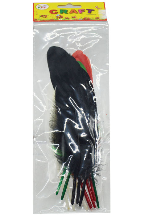 RHF CRAFT UAE COLORED FEATHER 12PCS PKT (20CM)BW-333-4