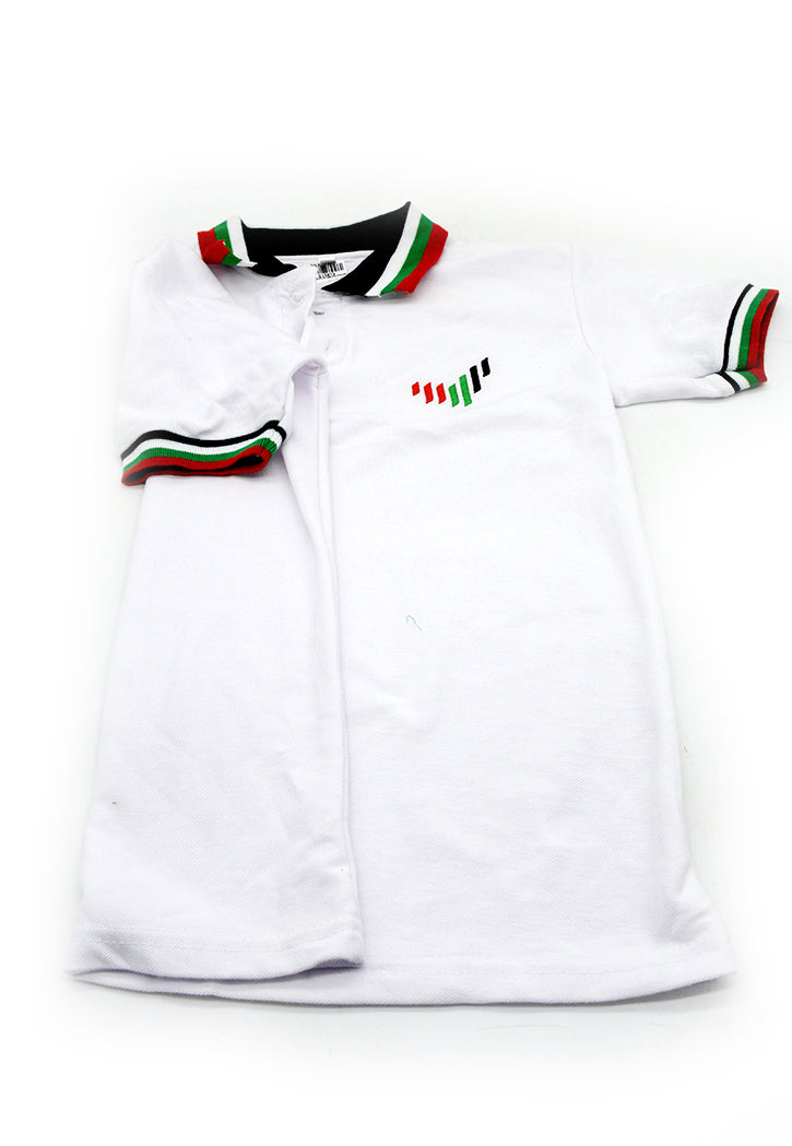 POLO SHIRT W/ UAE COL COLLAR ASSTD