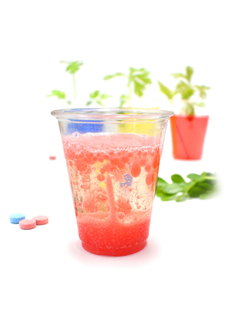 BIG BANG SCIENCE-MAGIC IN KITCHEN 16TOOLS