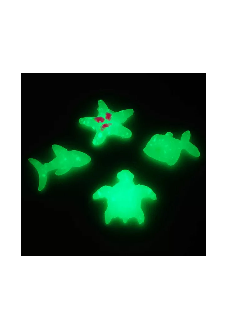 BIG BANG SCIENCE-MAGIC WATER ELF 18TOOLS