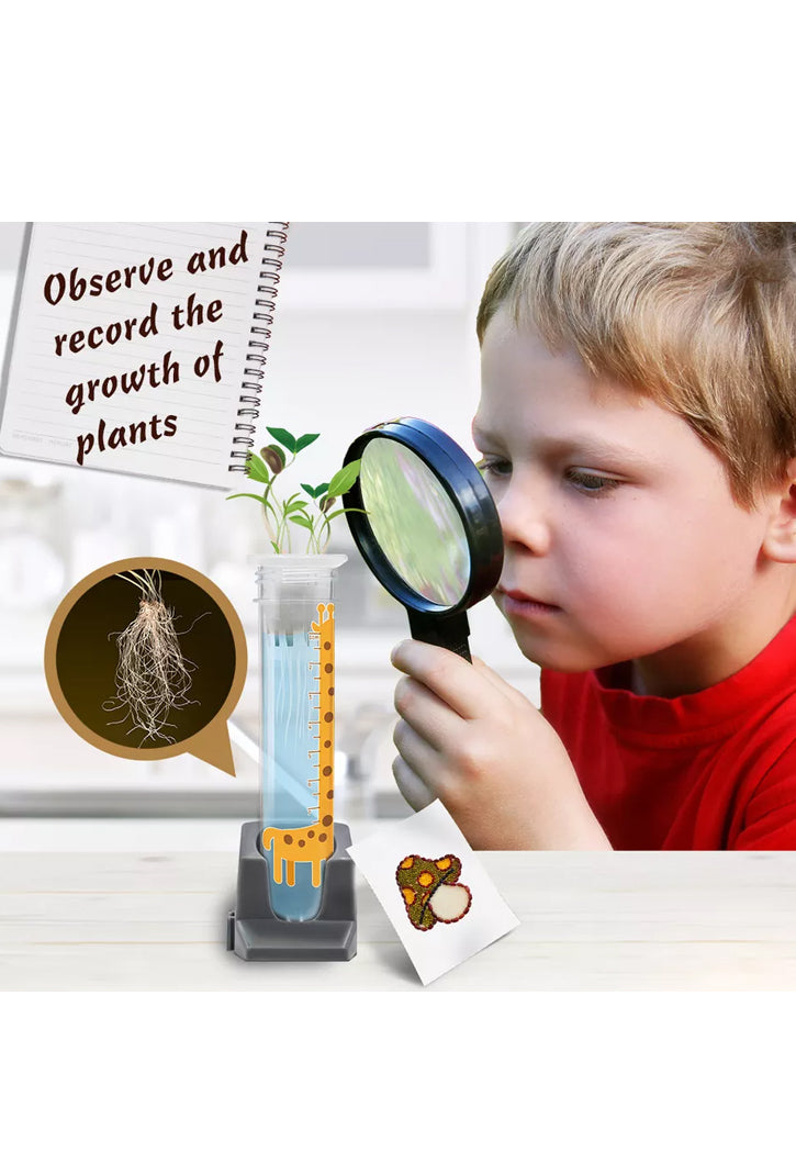 BIG BANG SCIENCE-PLANT GROWING BOTANY EXPERIMENTS 32TOOLS